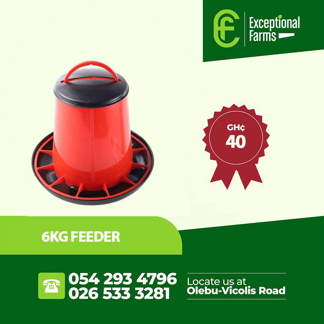 6kg feeder